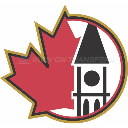 Ottawa Senators Iron-on Stickers (Heat Transfers)NO.276
